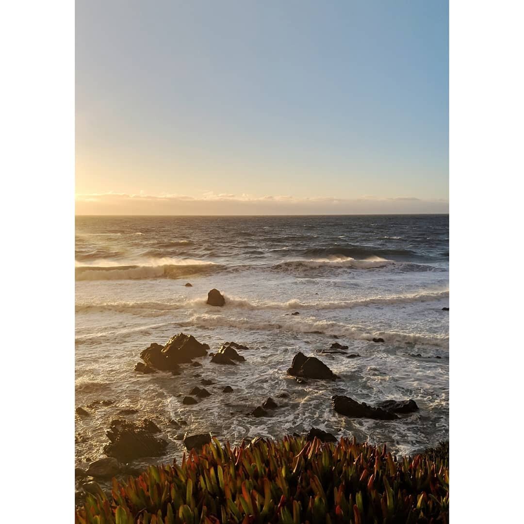 California - January - Touched by a star v2.
.
.
.
.
.
.
.
.
.
.
#sunset #beach #california #sun #nature #naturelovers #naturephotography #travel #travelphotography #usa #roadtrip #hiking #sea #harbour #landscapephotography #adventure #sanfrancisco #