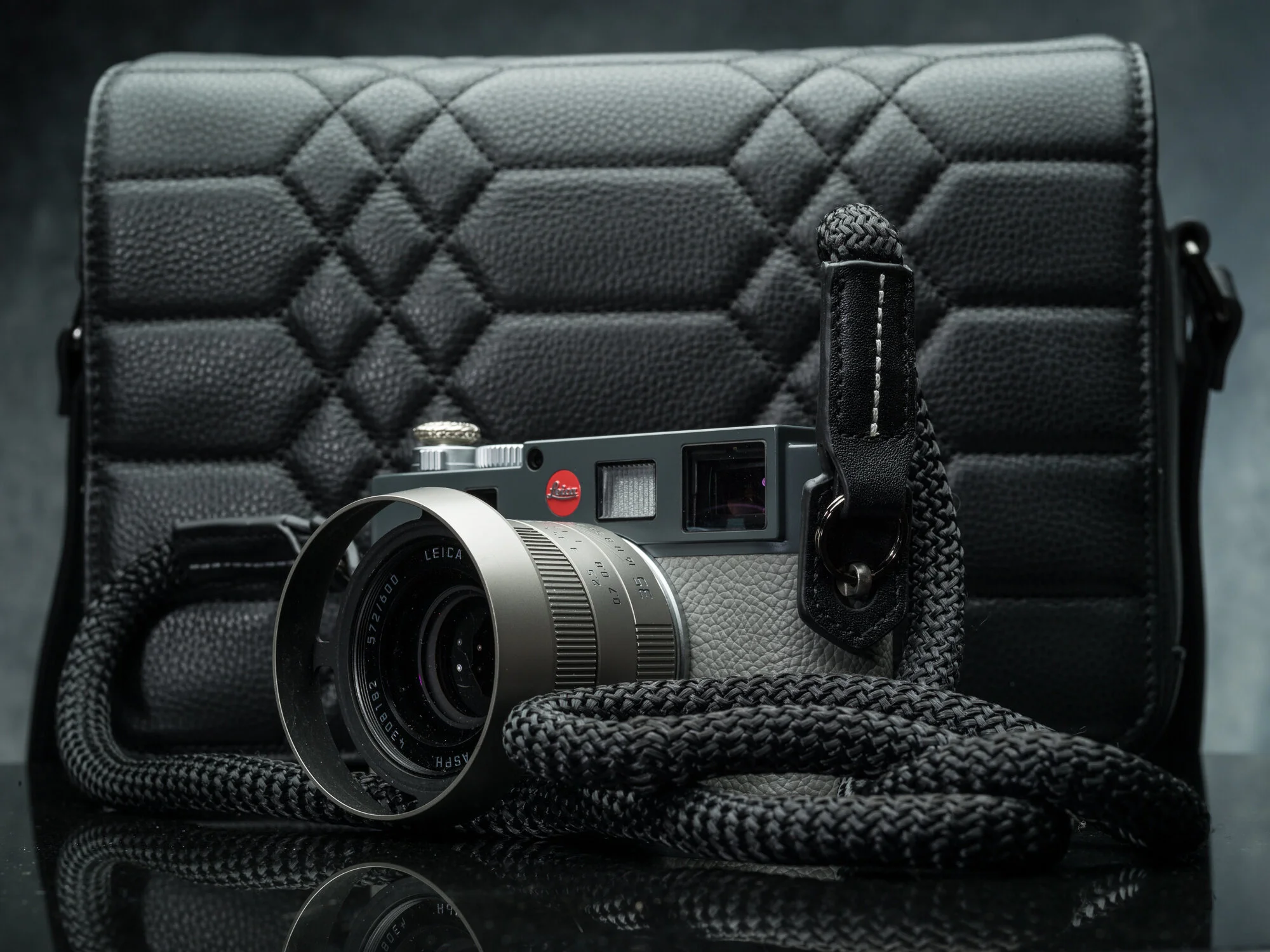 Vi Vante sheetline white stitch v2 Leica Me pegasus.jpg