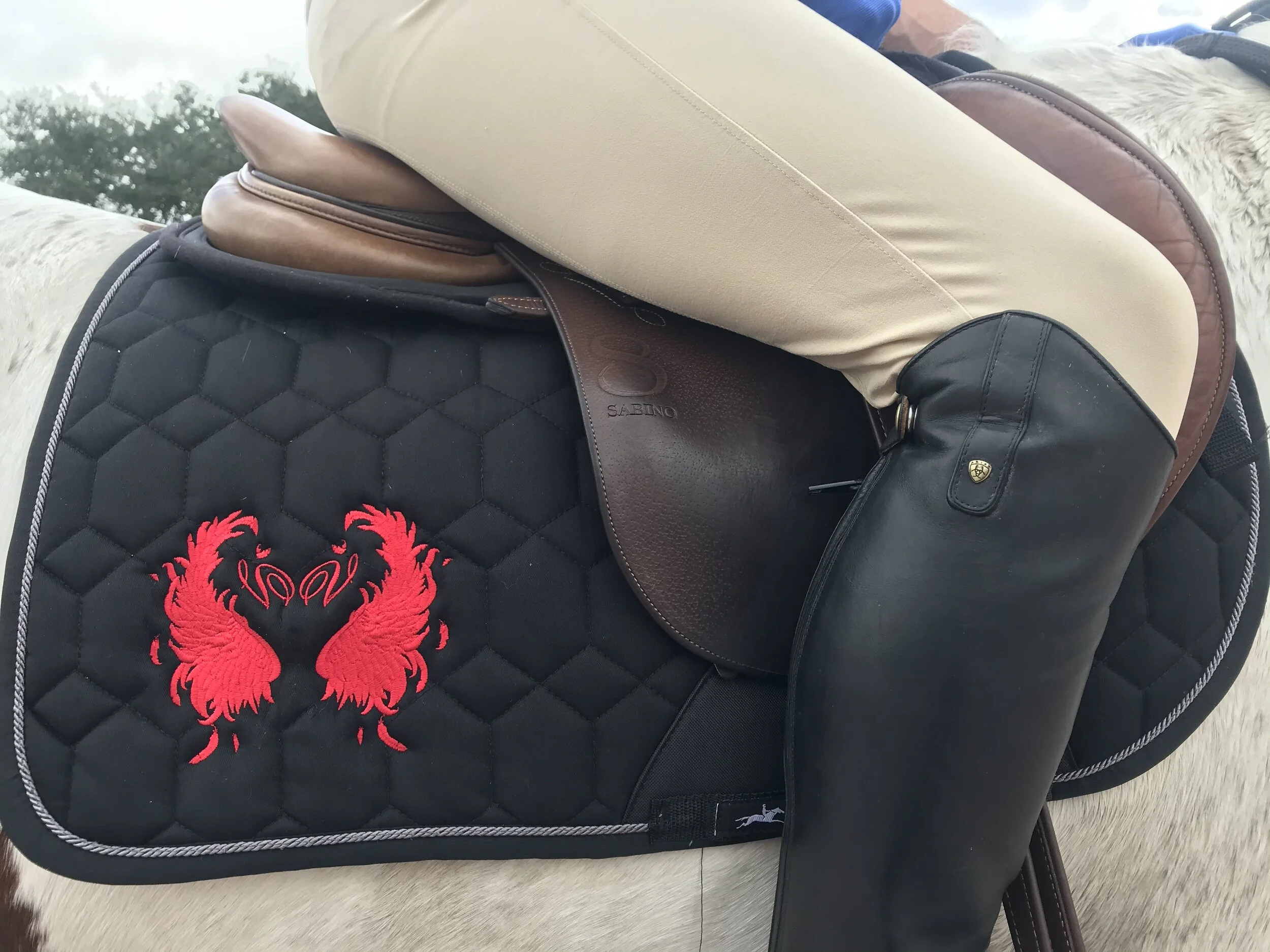 CEO Shows off Vi Vante Embroidered Saddle Pad and shares some wisdom 