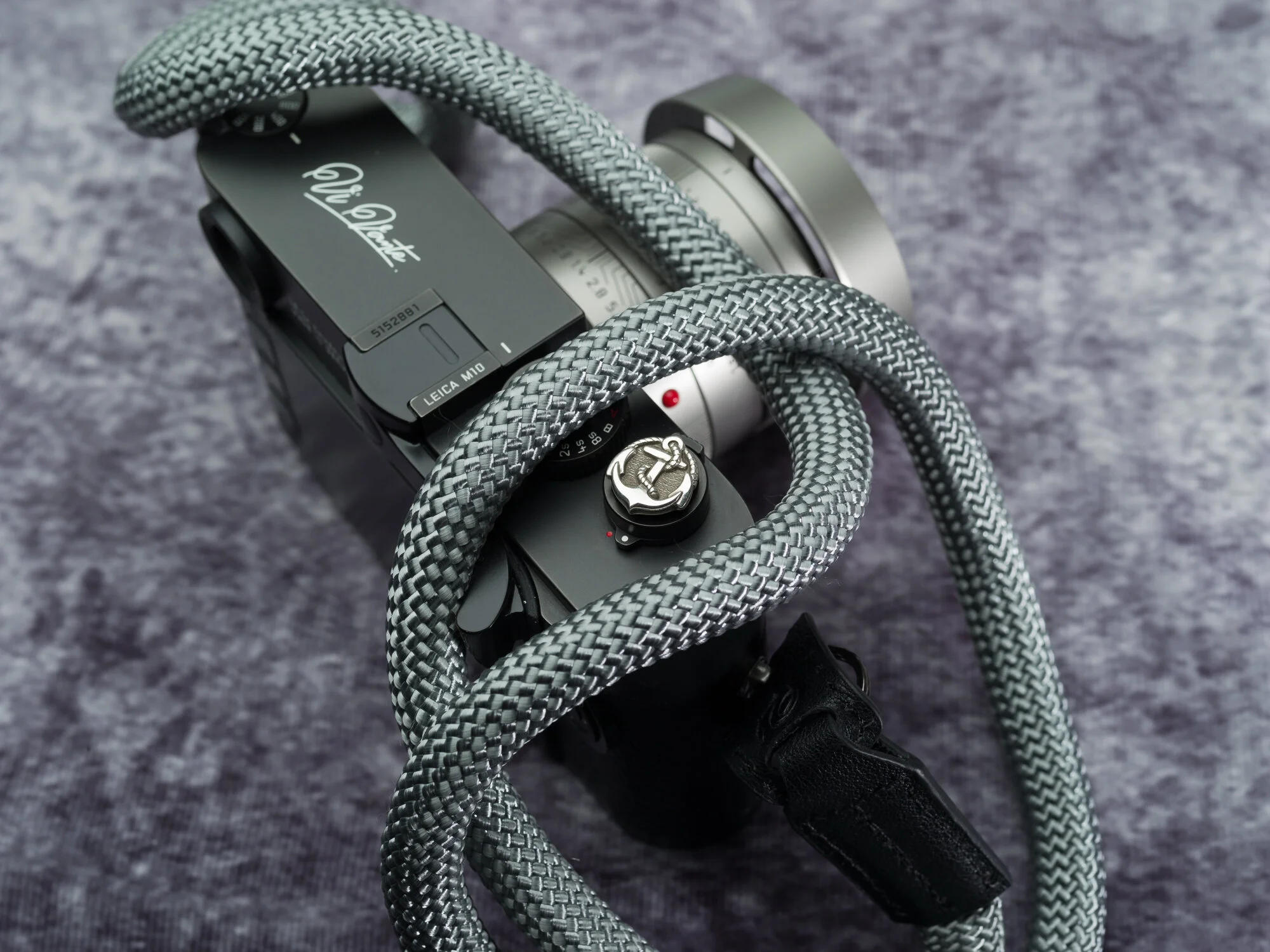 Vi vante arctic fox sheetline jay tsujimura 2 anchor.jpg