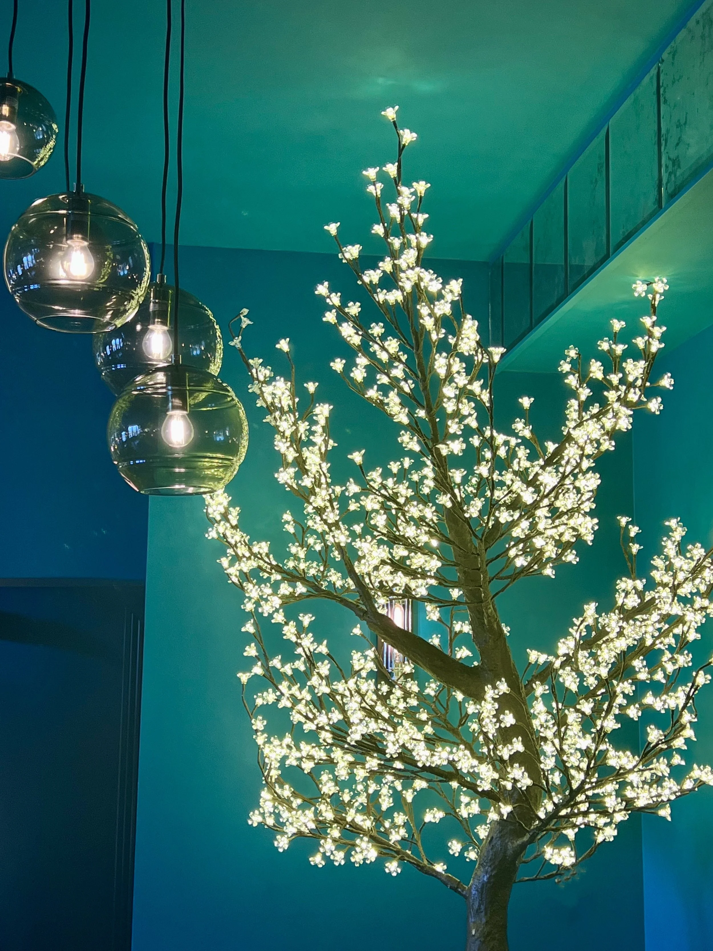 Bonzai Pan Asian Kitchen