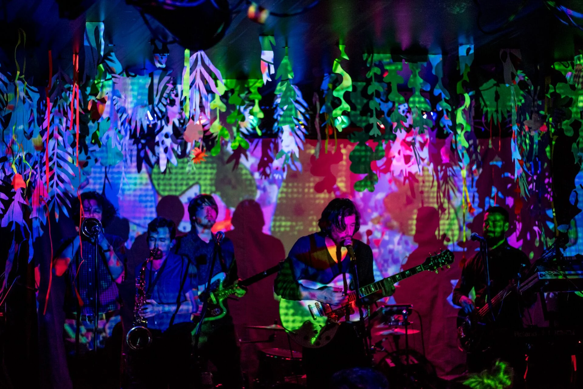 PaperHolland_Live.jpg