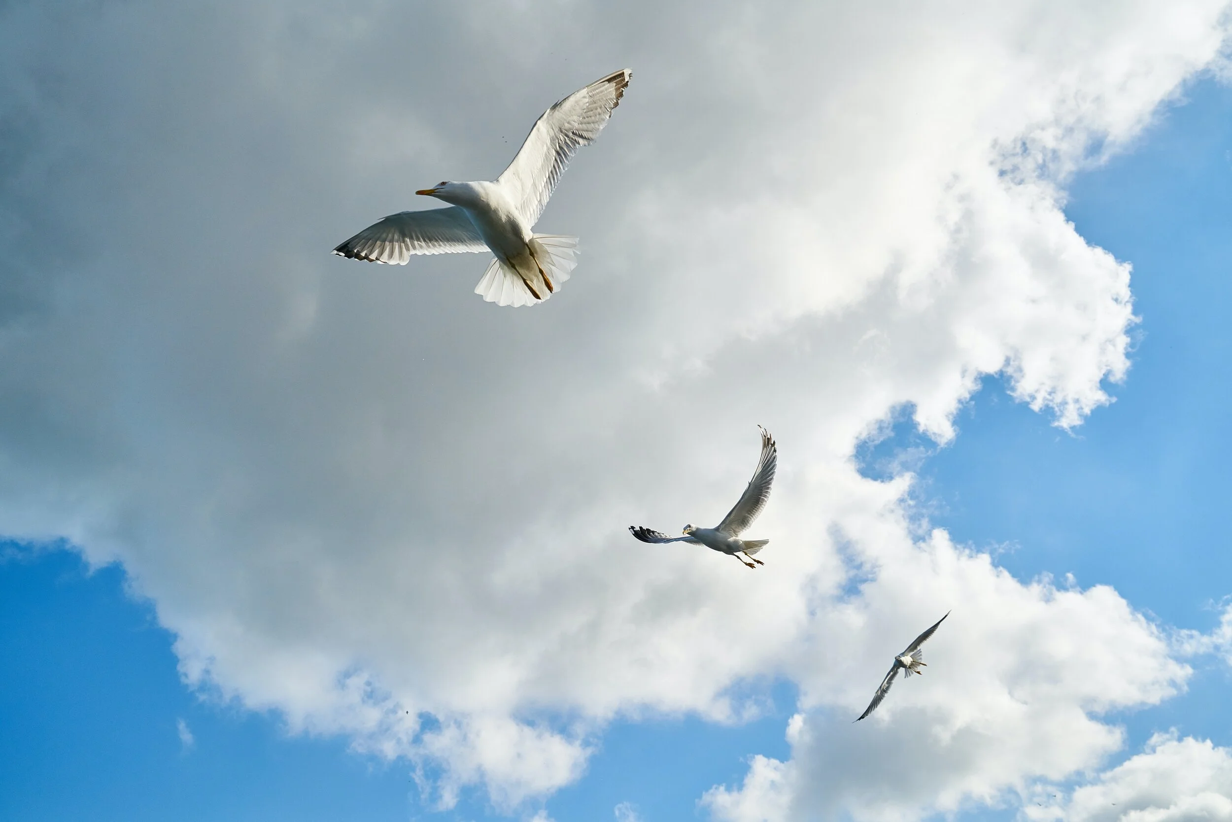 The best way to control is letting go