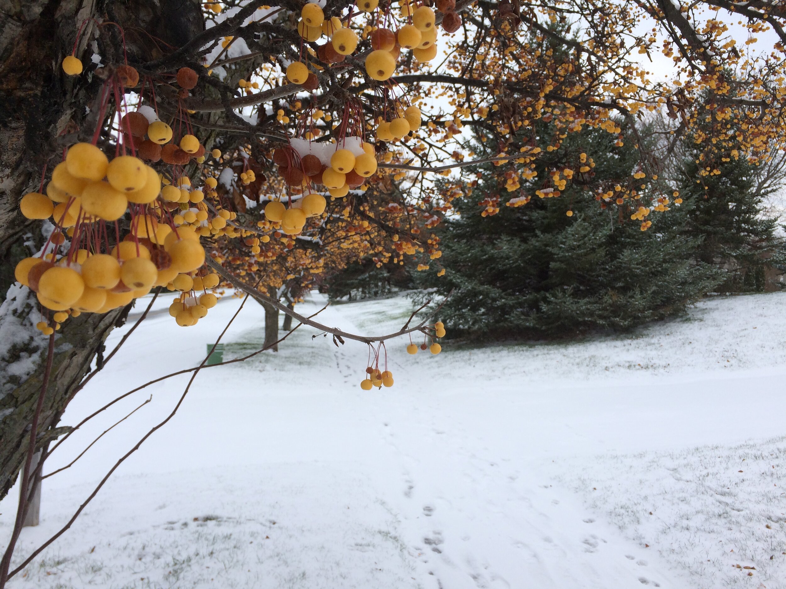 Giving is Receiving (The law of abundance)