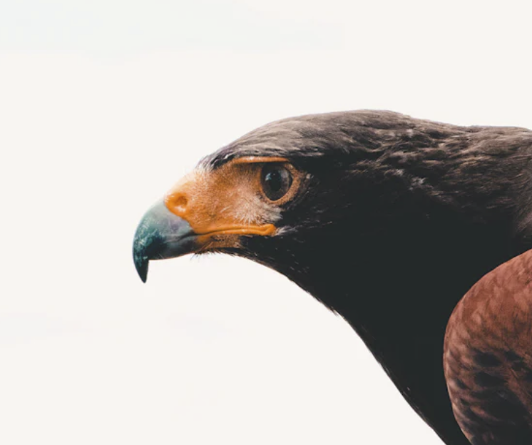 Process Over Outcome: Cultivating Quality through Attention