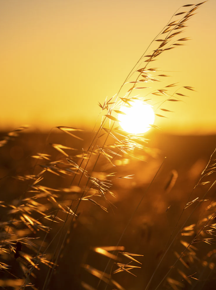  From Victim Mentality to Being a Light to the World