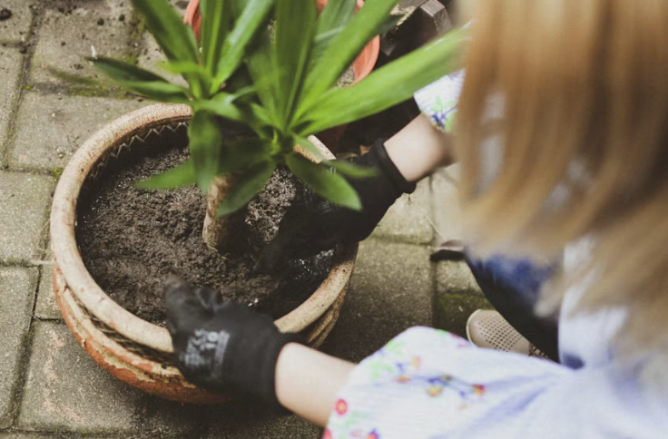 Karma: The Inner Feedback System Governing Human Action