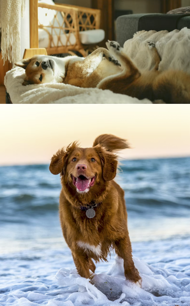 Comfort OS vs. Clarity OS - The Two Different Worlds