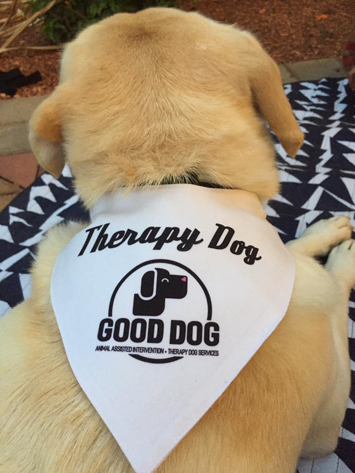 pet therapy services