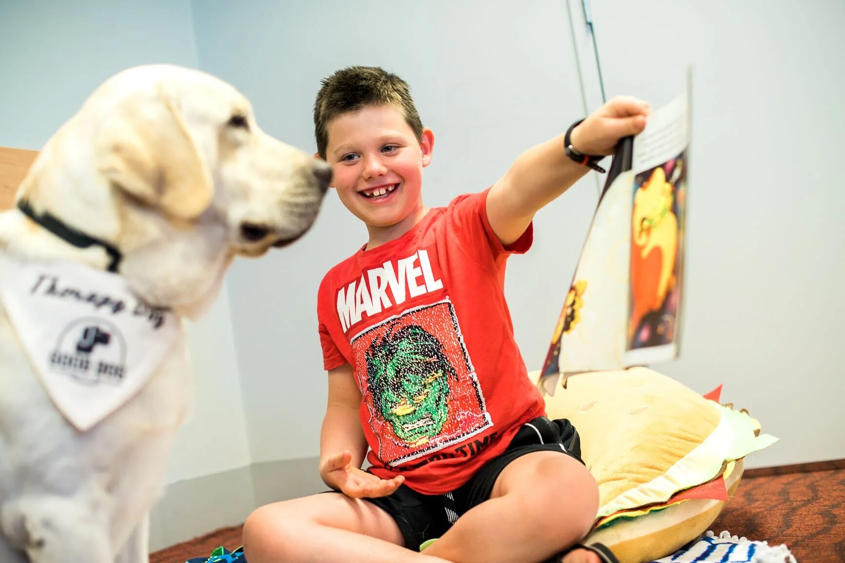 hills science plan light cat food