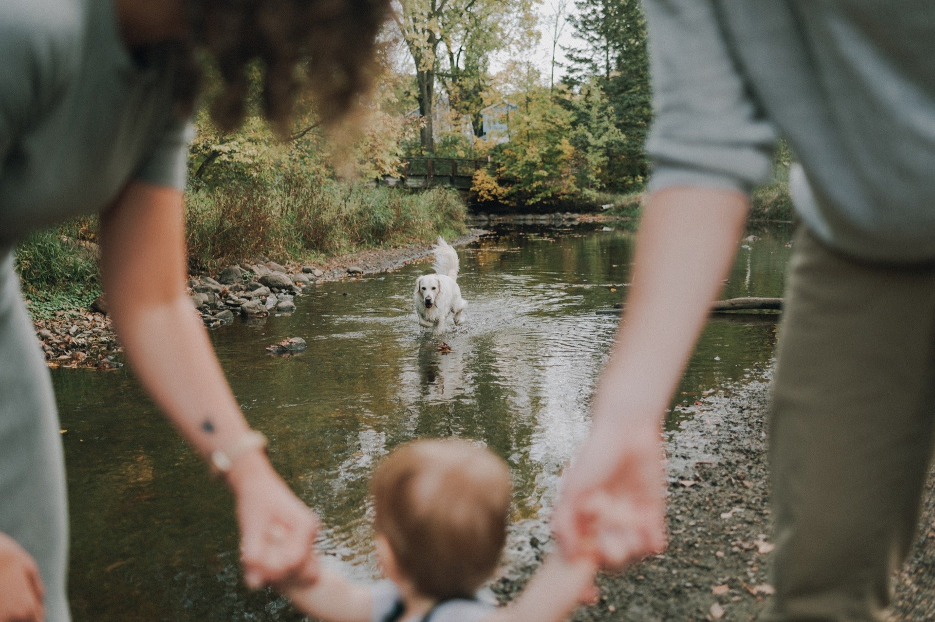 South Minneapolis Fall Family Session, Minnehaha Creek