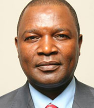 Professor S. Njuguna-Ndungu