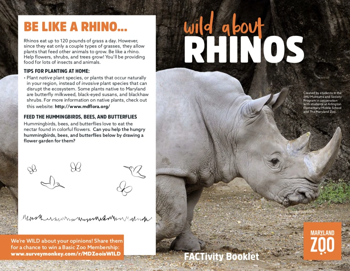 Rhinos.jpeg