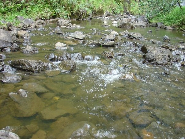 Maui Rock Creek.JPG