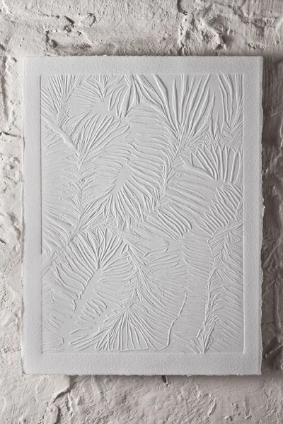 Image 7c Geological Traces Brain Coral Detail © Jacqui Dodds.jpg