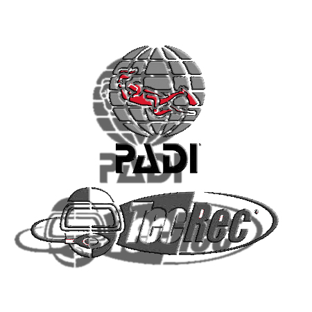 padi2.jpg
