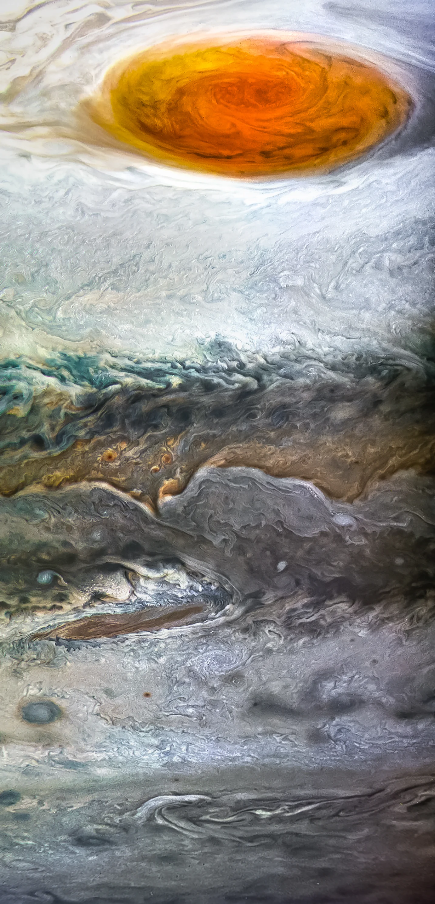 38681997262_5227021ab3_o