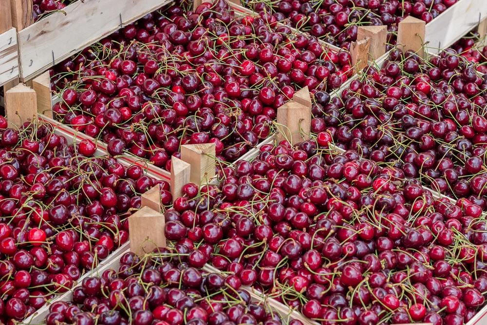 cherry.jpg