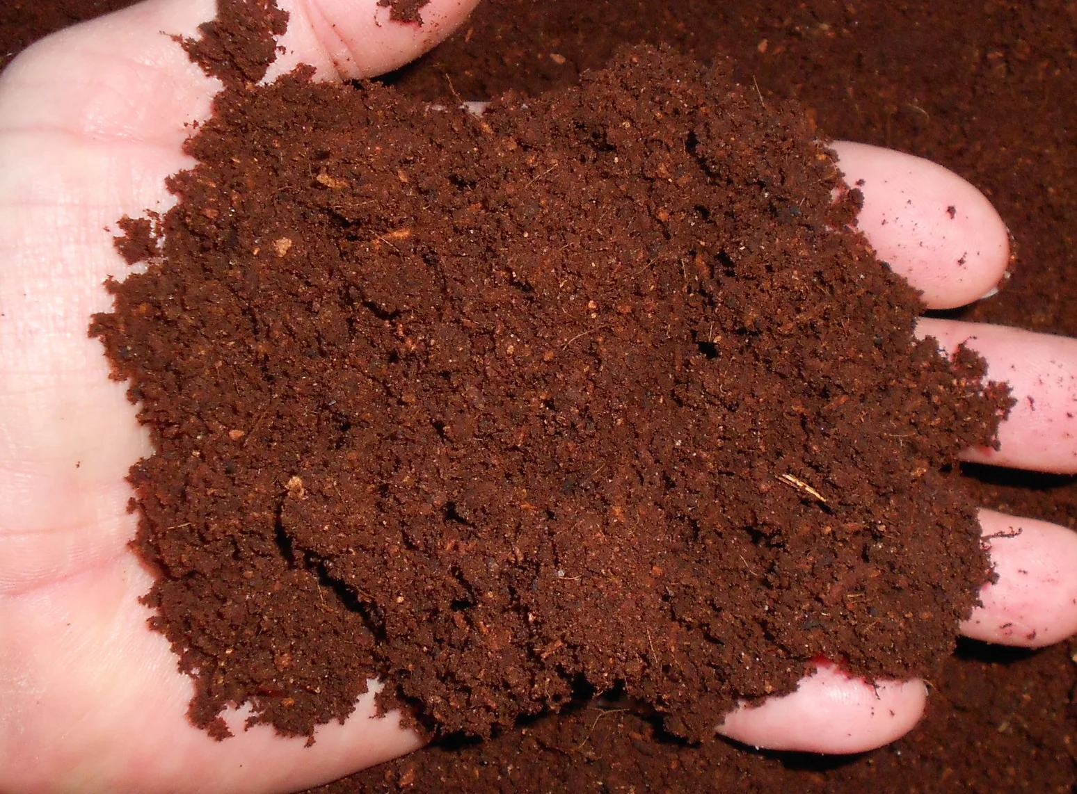 coconut substrate