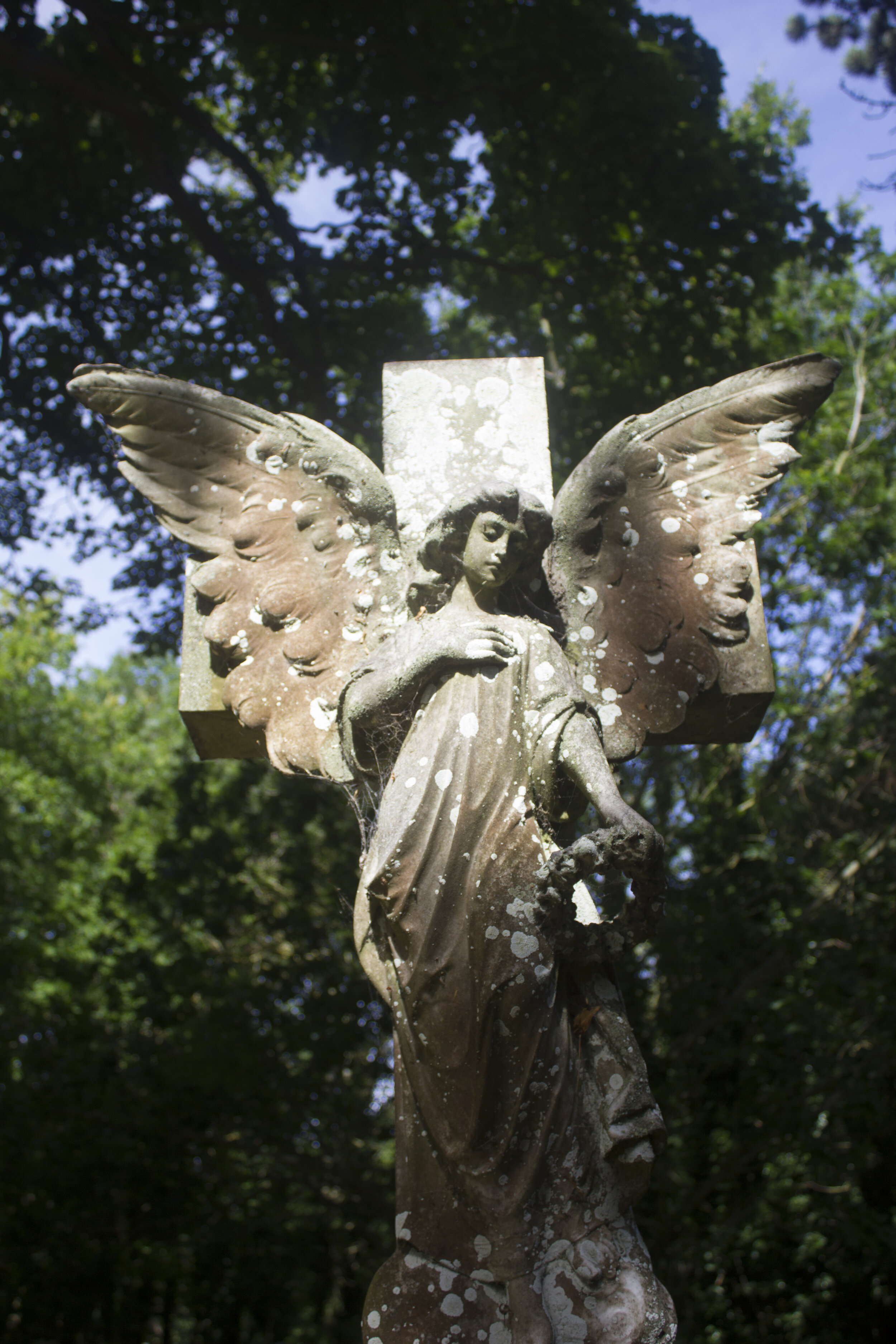 Uncovering Margate Cemetery