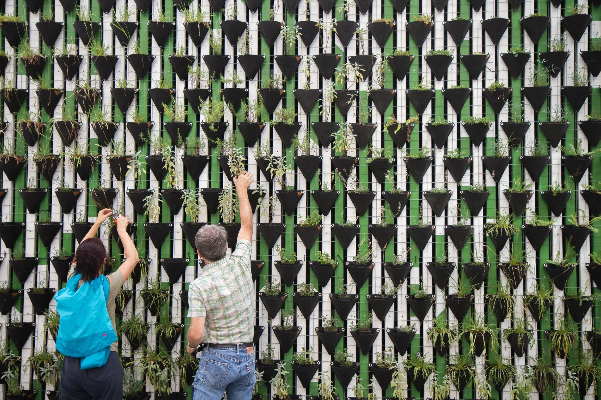 Interview with Rosa Rogina, London Festival or Architecture