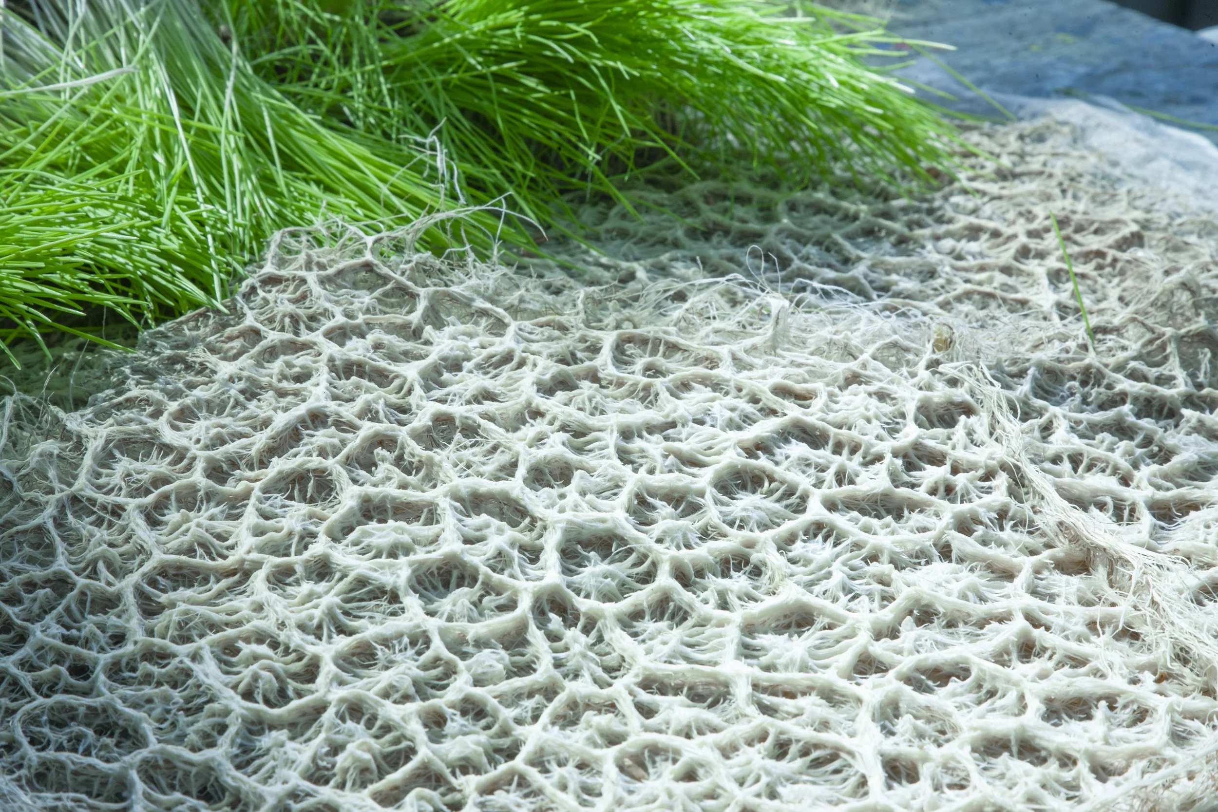 Made from Nature at LDF