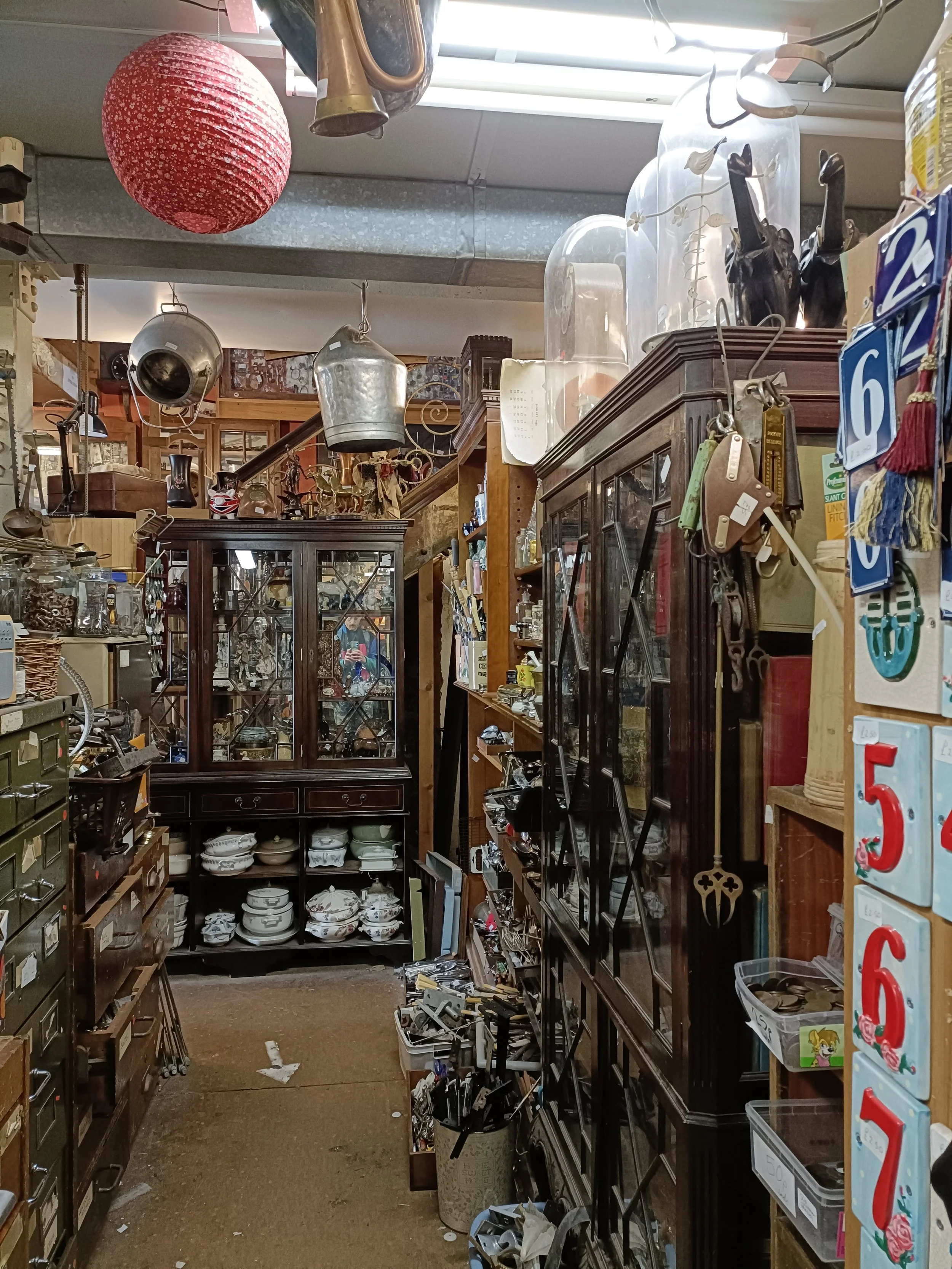 A Treasure Trove