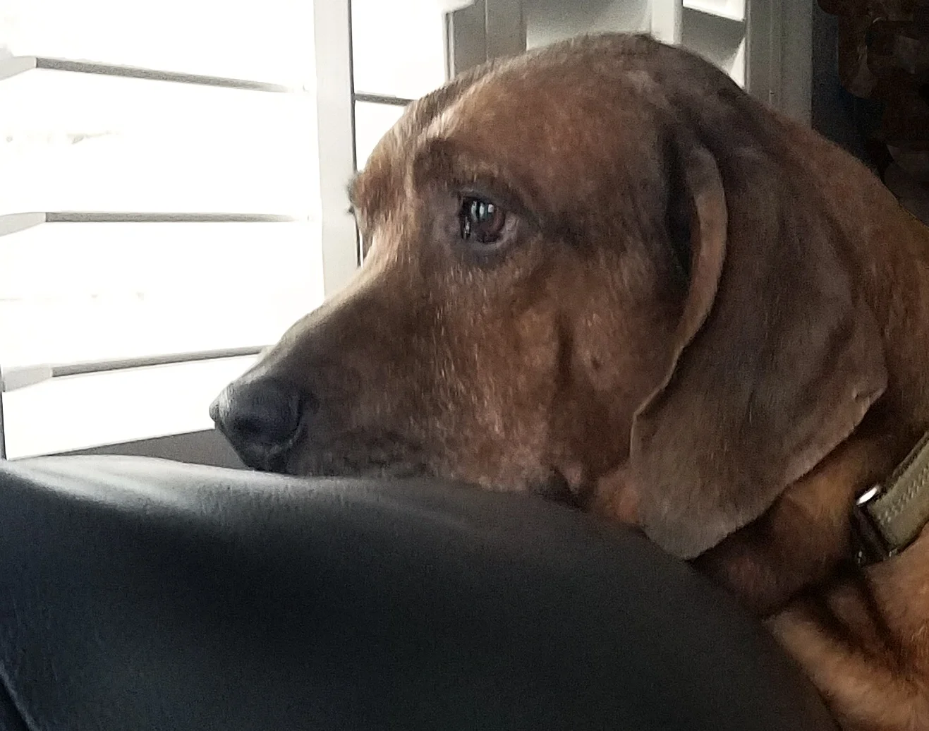 A Lament and a Promise