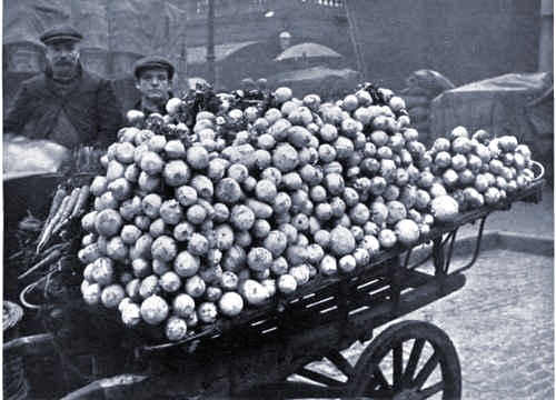 With potatoes, flour and vegetable virtually gone, German families subsisted on turnips.