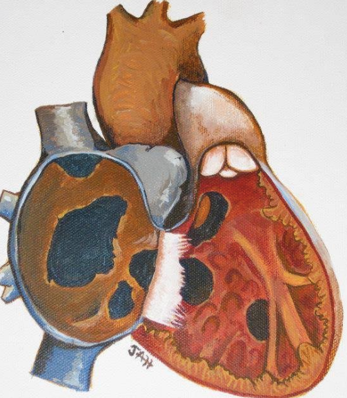 heart image.png