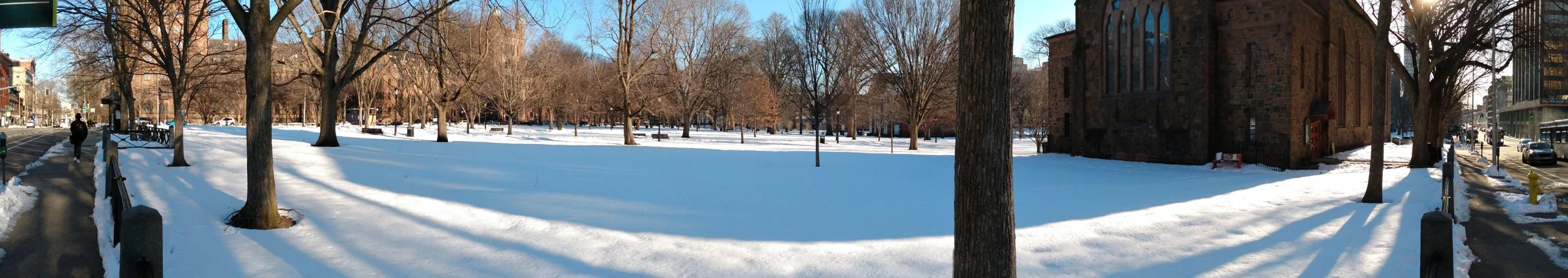 New Haven Green.jpg