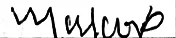 vidasignature.jpg