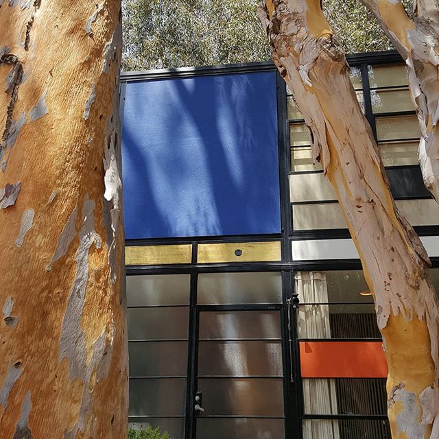 Eames House, Case Study No. 8 (1949) #prp3_2019