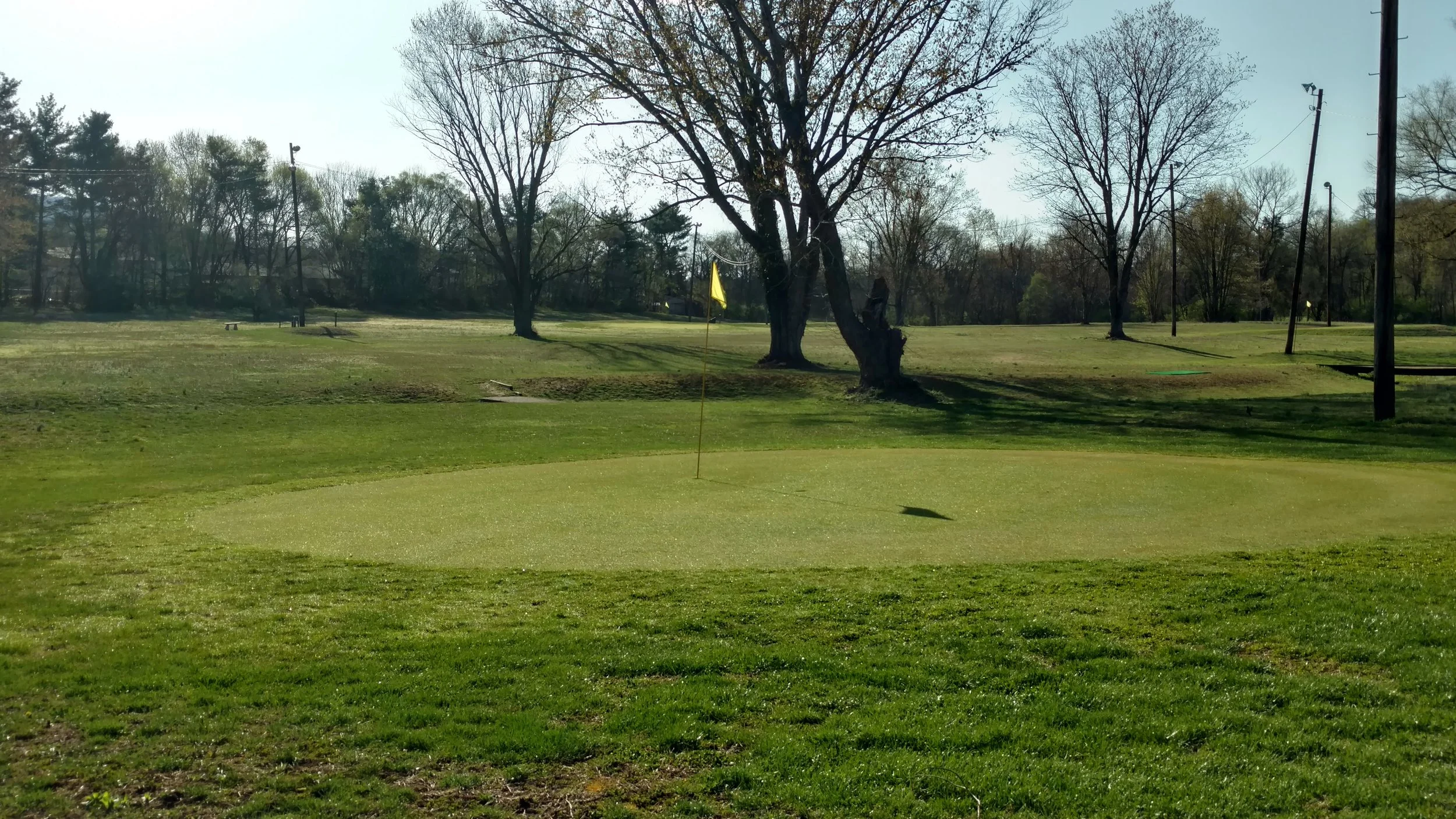 2018-04-08 green 2.jpg