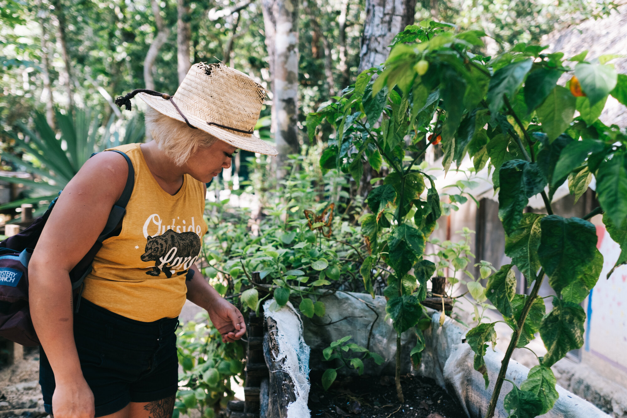 kirschcreative_pulseyogaretreats_tulum_day4-37.jpeg