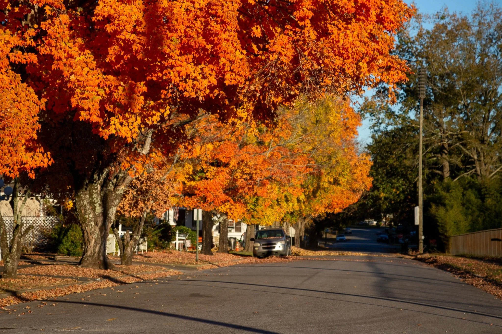 Gadsden Land Bank Authority