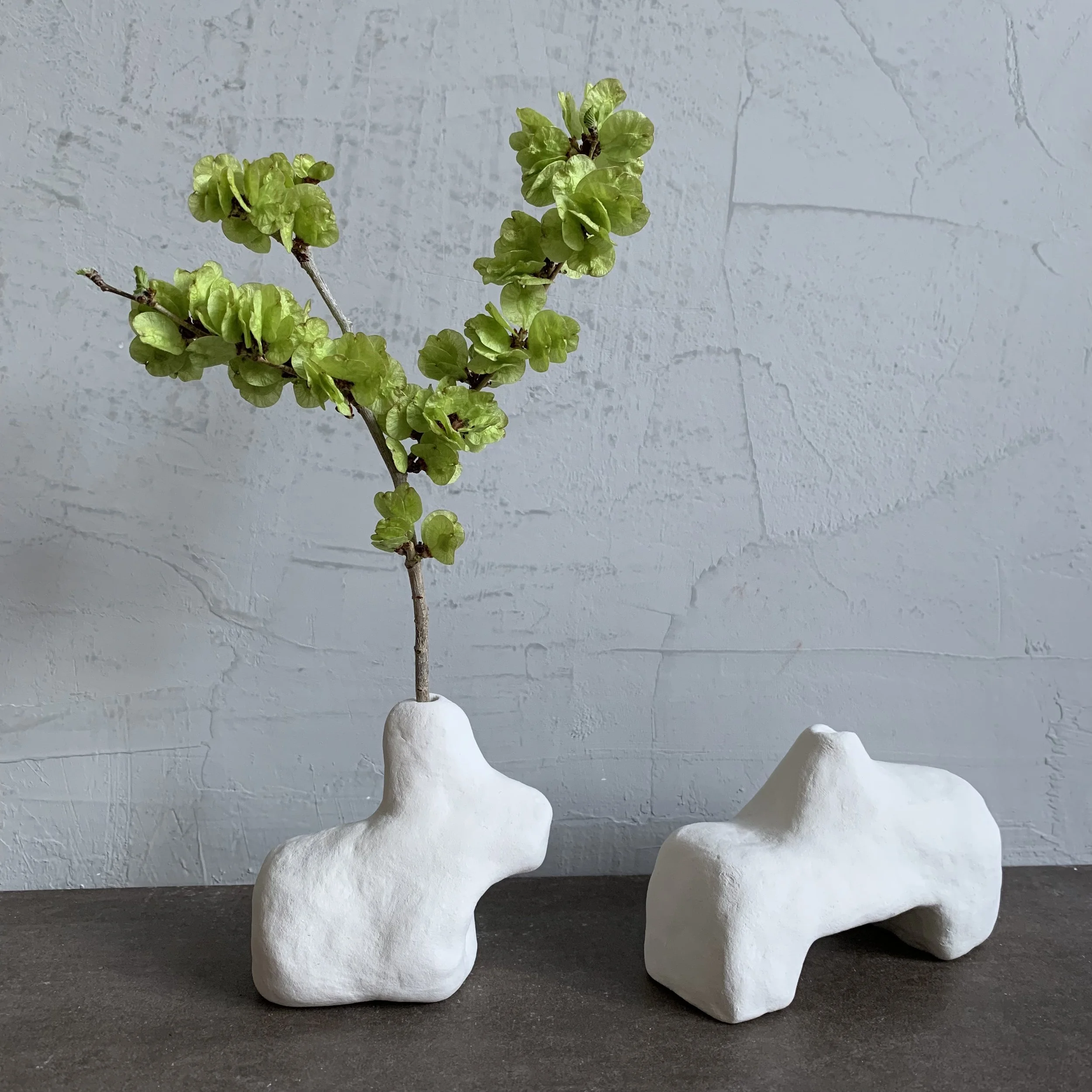 Organic sculptures by Nancy Purvis.jpeg