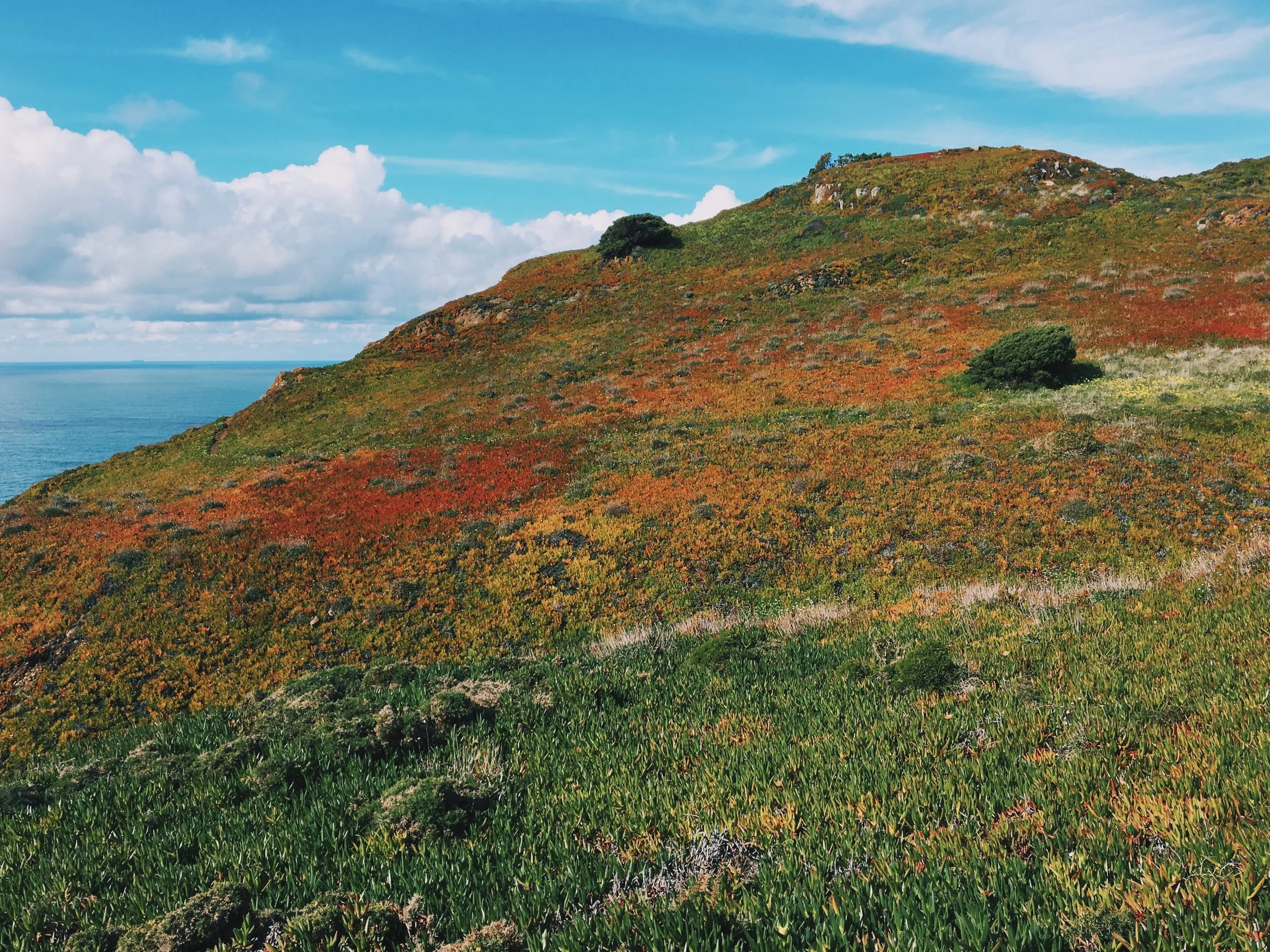 The colorful cliffs around Cabo da Roca.