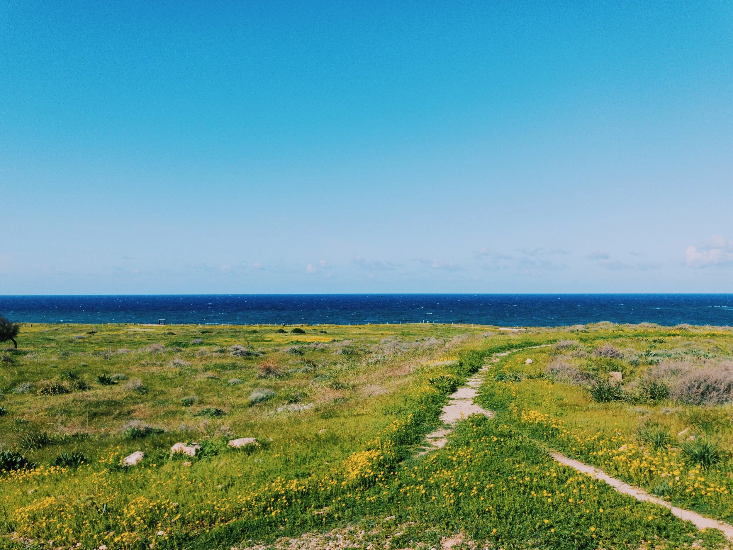 The archeological site lies right next to the ocean.