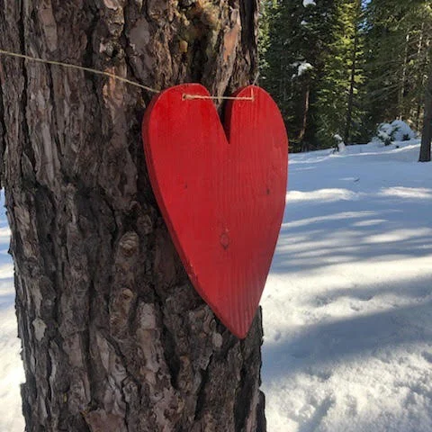 Finding Immunity in Community