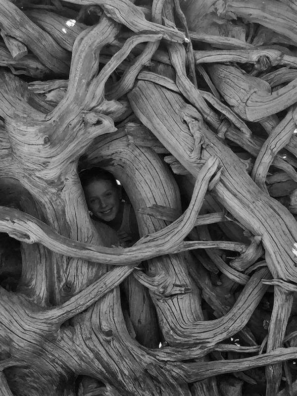 Where are you Rooted