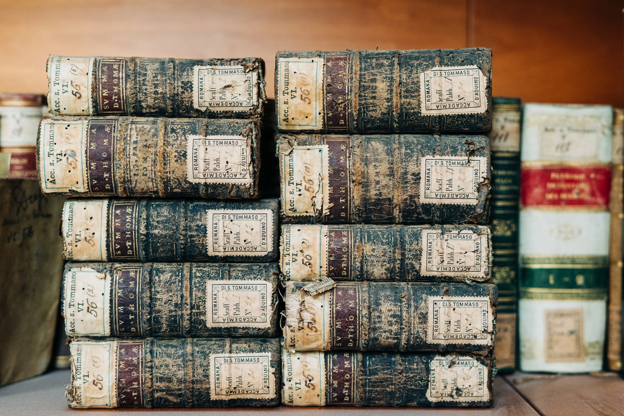 The Literary Life of St. Ignatius