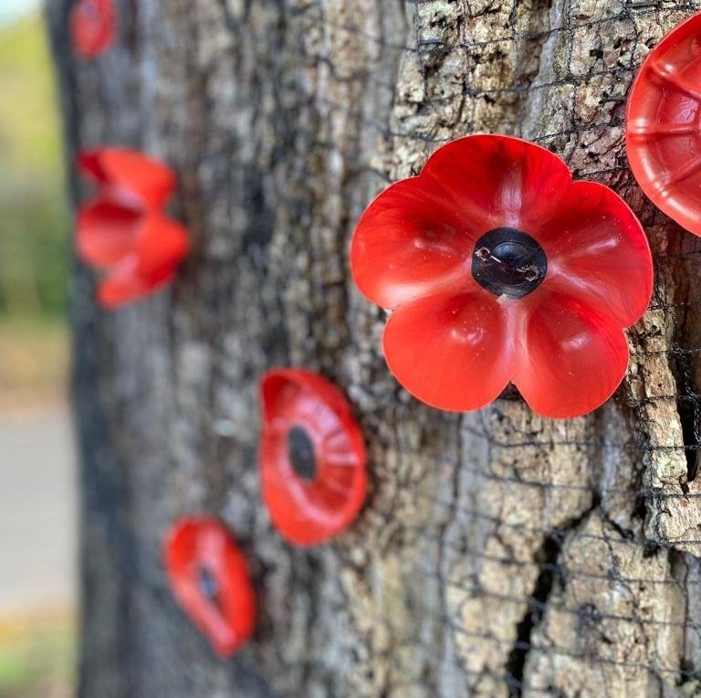 Remembrance Day Poppy Project
