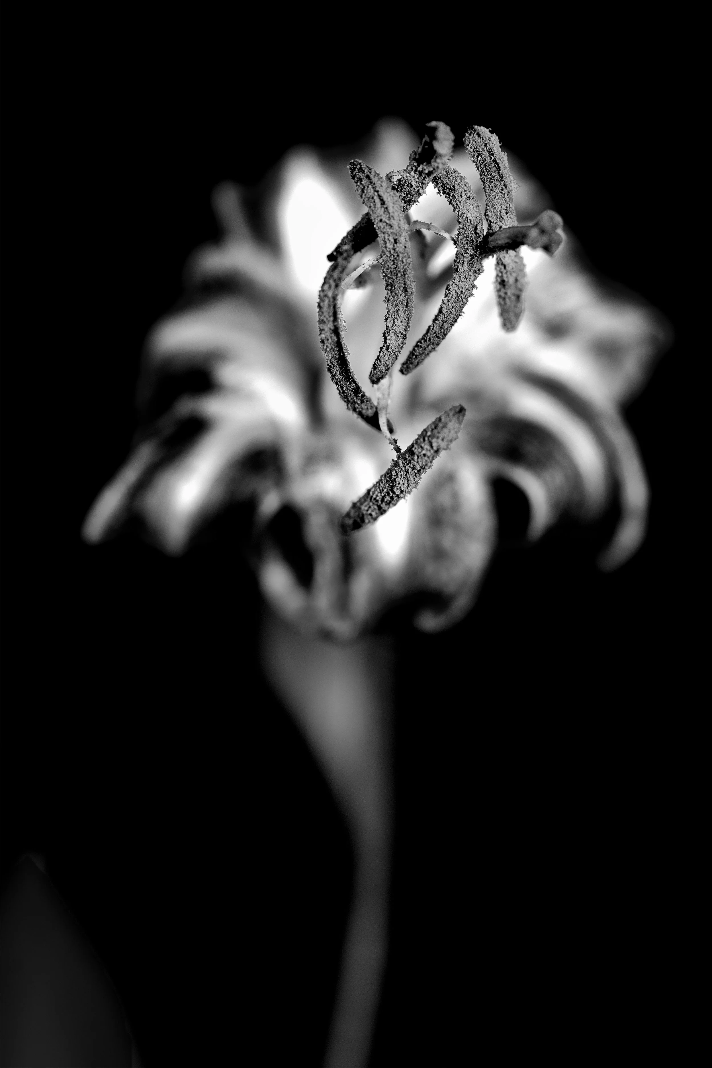 _DSC8812_r2 copy.jpg