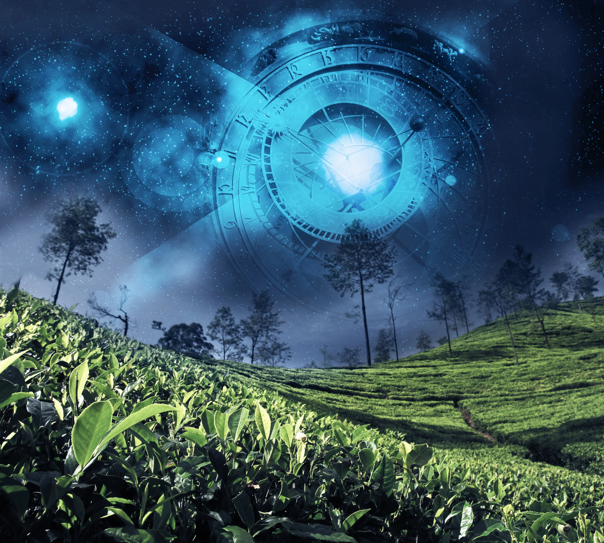 Module 6: Macrocosmic BodyMind - Livestream