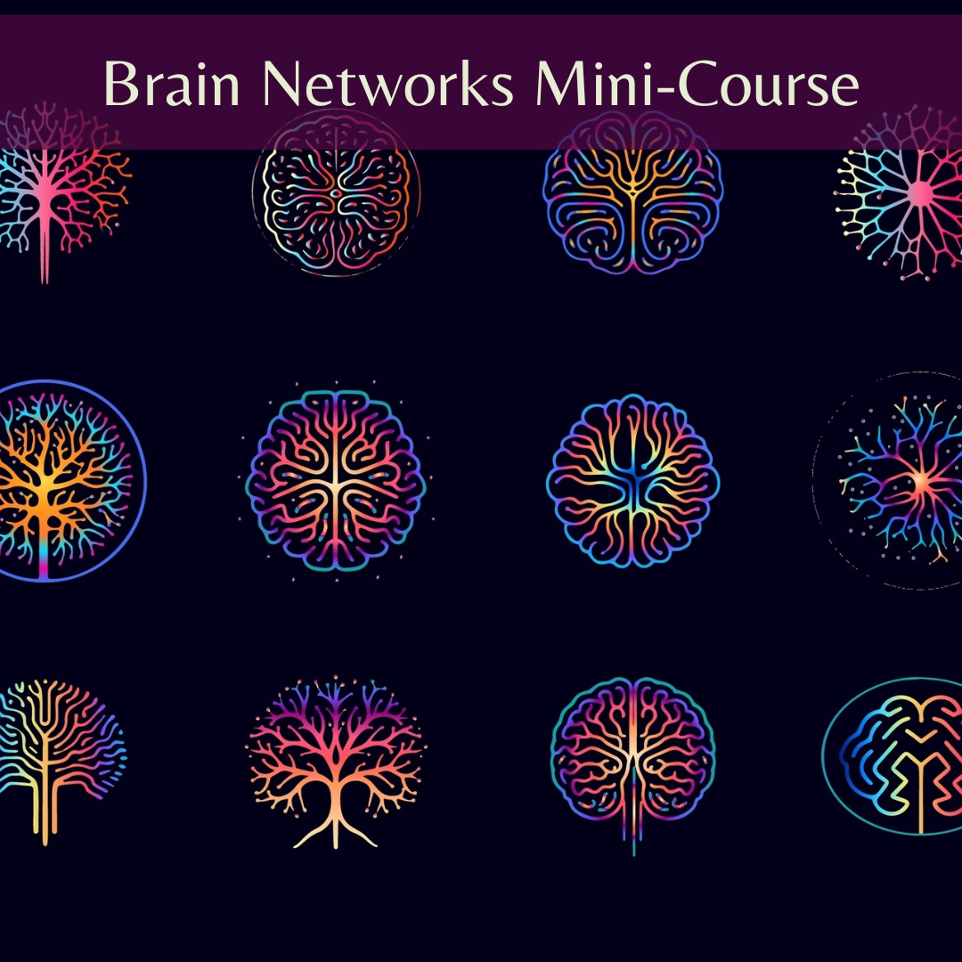 Brain Networks Mini-Course 2025