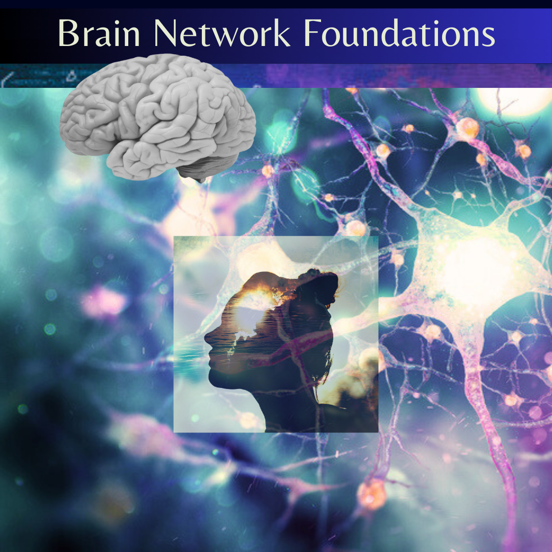 Brain Network Foundations: The Pre-Req!