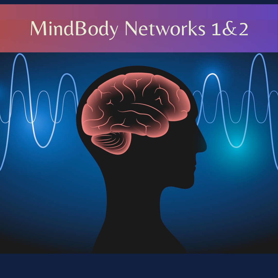 Mind-Body Networks I/2