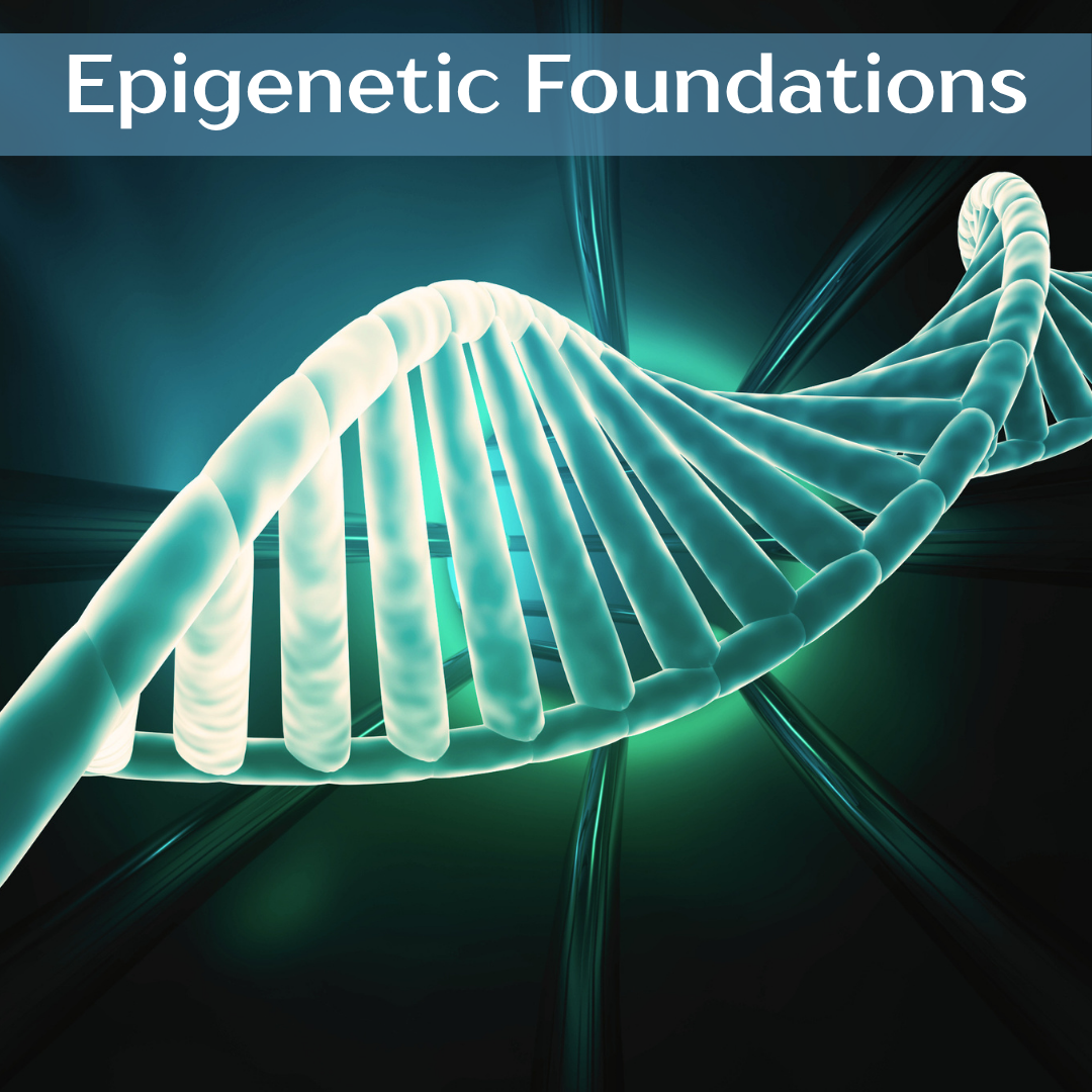 Epigenetic Foundations