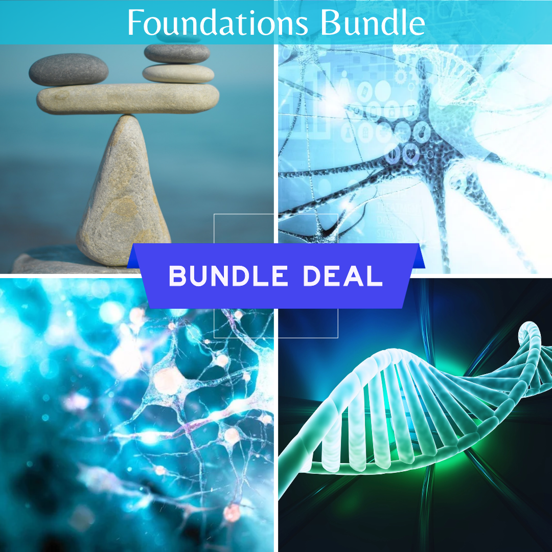 Foundations Bundle.png
